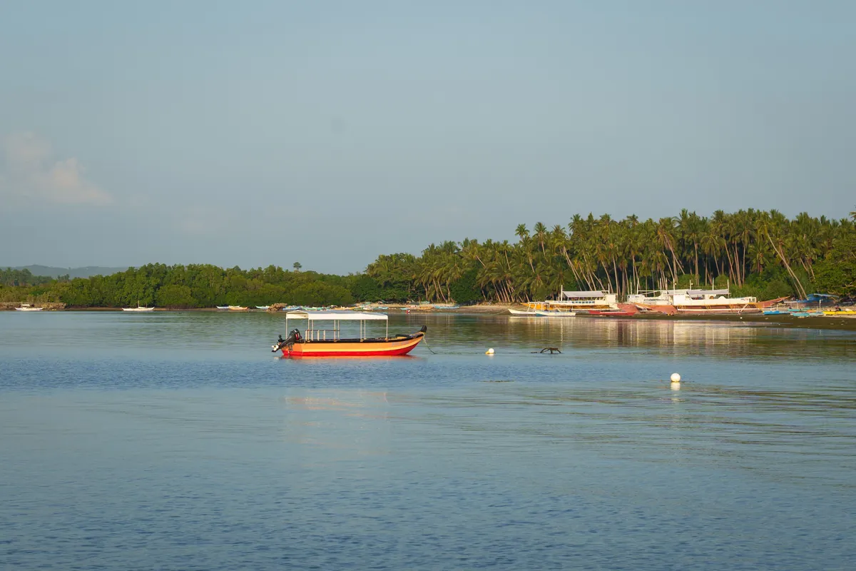 A quiet bay with an outrigger boat and a palm-lined shore in Central Visayas, Philippines