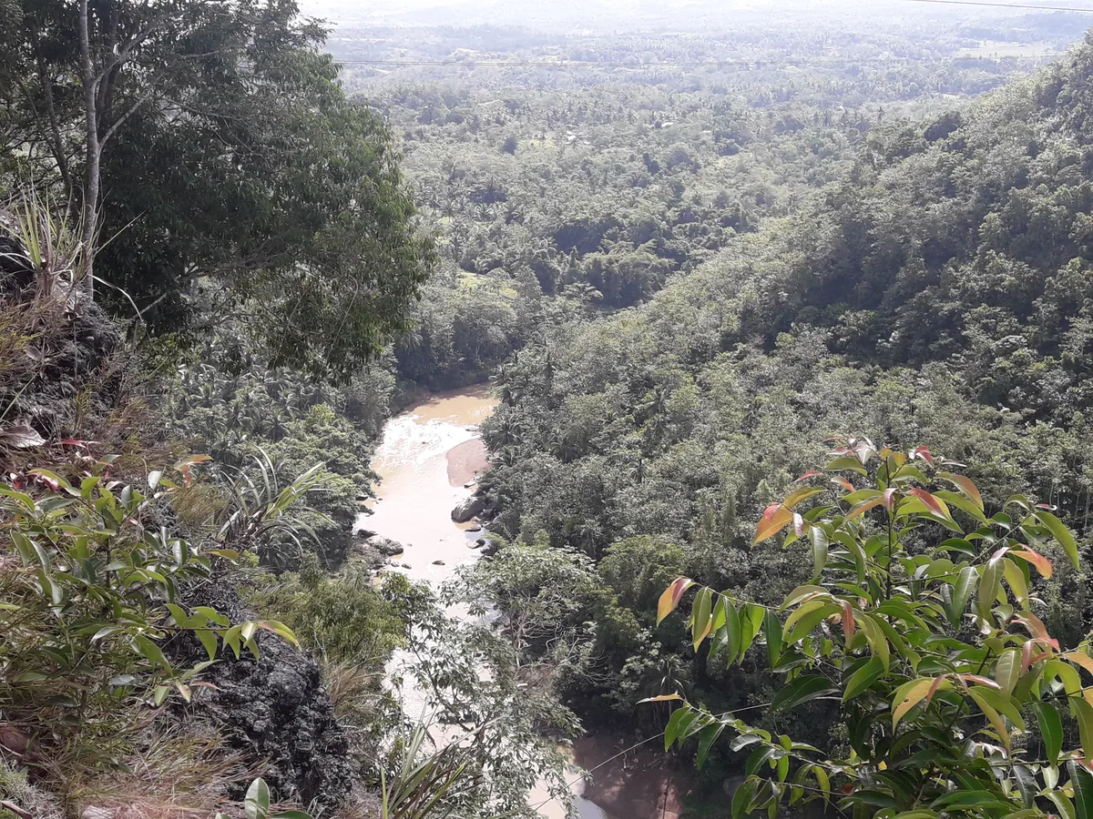 Forested valley used for the zipline and giant swing at Danao Adventure Park, Bohol