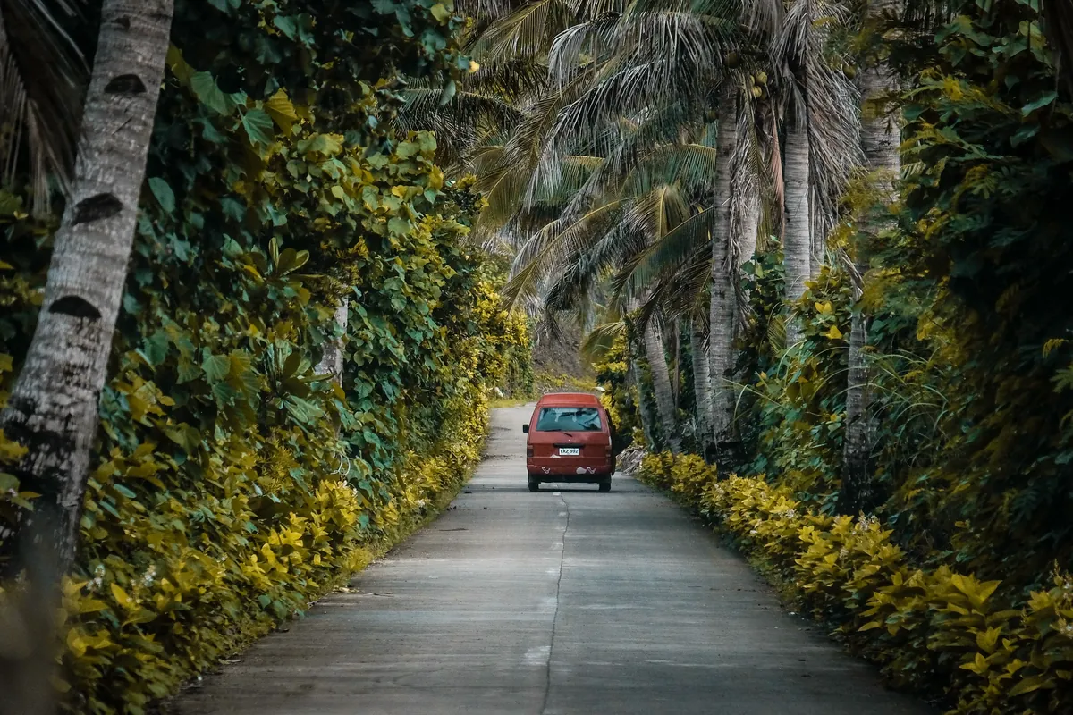 A van on a road lined with palm trees in the Philippines